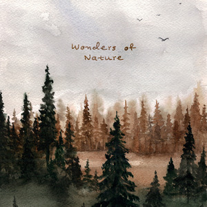 欧美一级婬片A片无码潘金莲直播
